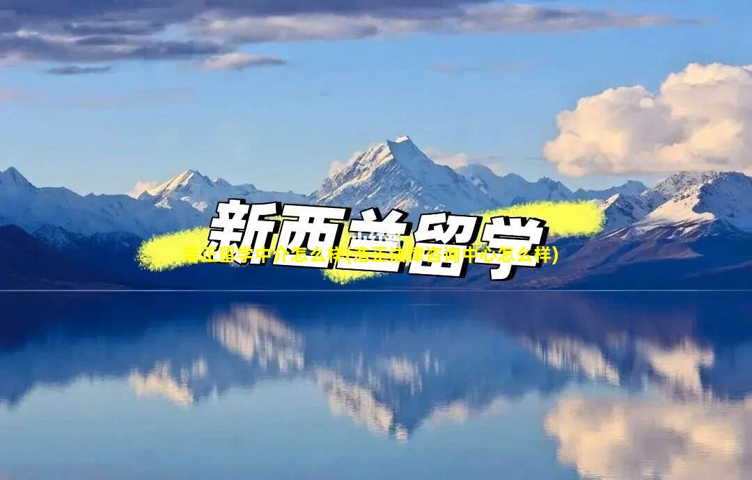 浩正留学中介怎么样(浩正法律咨询中心怎么样)