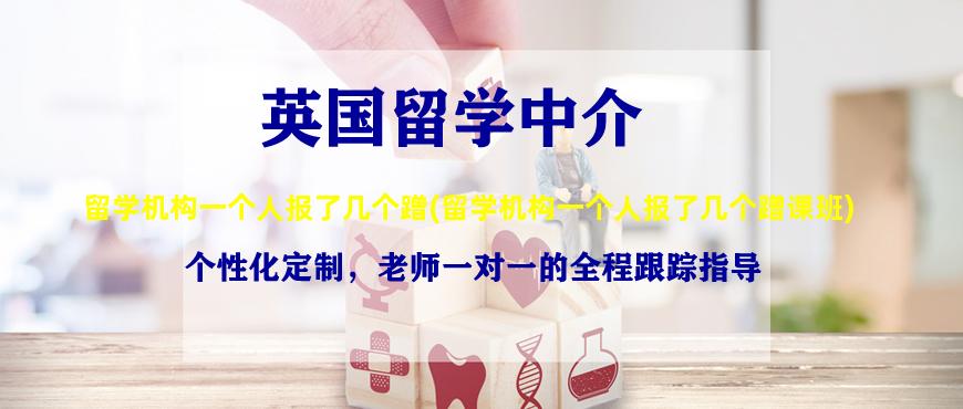 留学机构一个人报了几个蹭(留学机构一个人报了几个蹭课班)